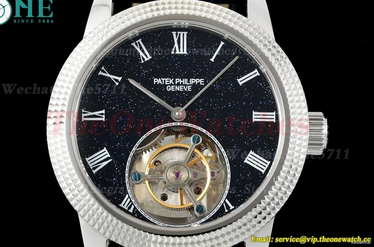 Sky Dial 42mm SS Complications Tourb RMSF LE Starry 0420